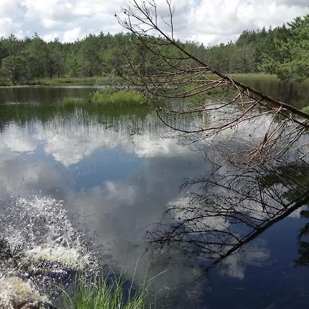 Ostoja Sosnowa Czarny Mlyn, kompleks dwóch nowych domkow Exterior foto